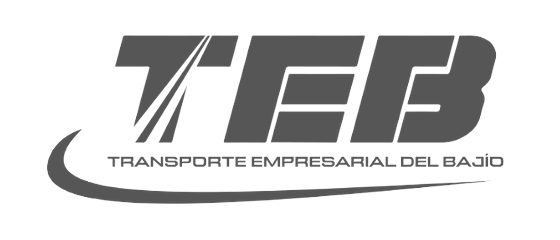 TEB