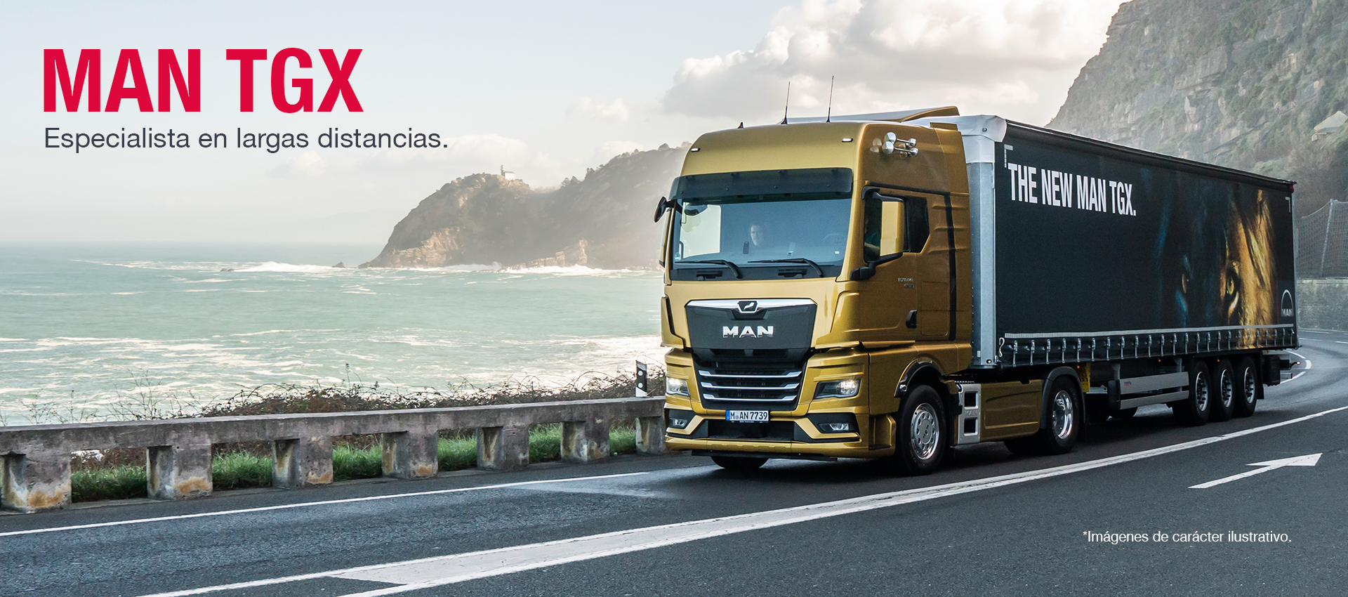 MAN TGX 26.520 Euro 6