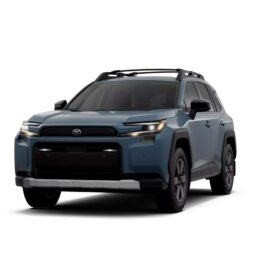 Toyota RAV4 HEV Woodland HEV completo