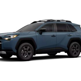 Toyota RAV4 HEV Woodland HEV completo
